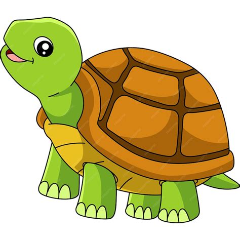 tortise clipart